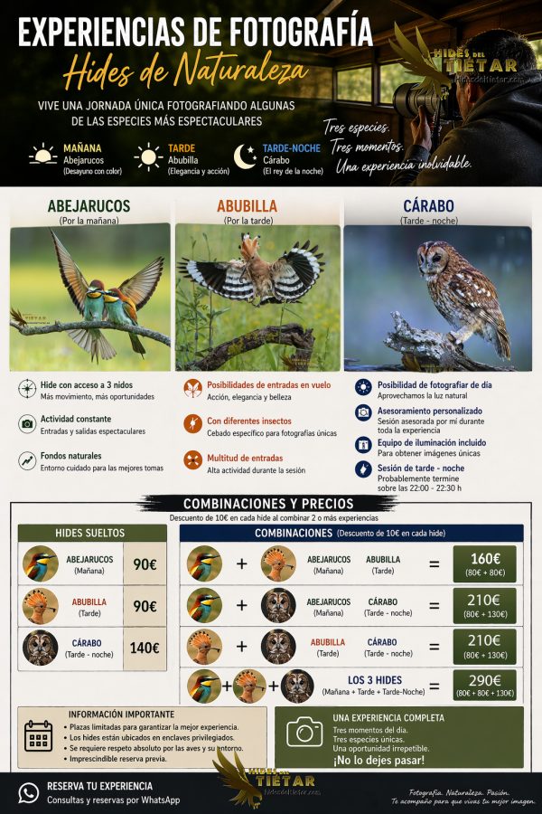 ChatGPT Image 24 abr 2026, 04_20_01 copia