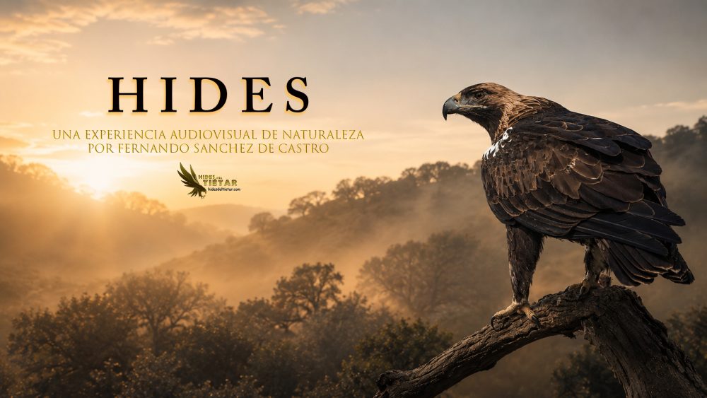 PORTADA_DOCU