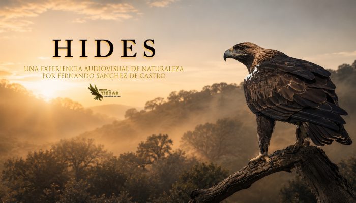 PORTADA_DOCU