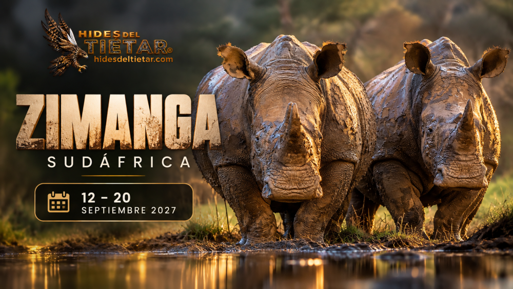 SUDÁFRICA: EL SANTUARIO FOTOGRÁFICO DE ZIMANGA 2027